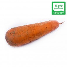 [맑은참]친환경 무농약 흙당근(특) 1kg